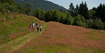Wandelroute H05: Het pad van de fruitbomen
