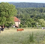 Gite "l'bout d'chemin"