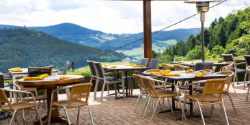 LE BOUTON D'OR 'AUBERGE DU SOLEIL'