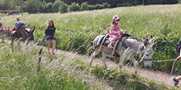 Ferme equestre de la forge