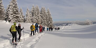 PATRICE MATHIEU - SNEEUWSHOESWANDELINGEN