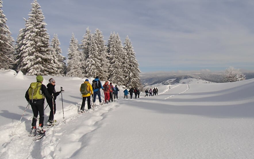 PATRICE MATHIEU - SNEEUWSHOESWANDELINGEN