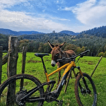 Expérimentez à VTT la mythique traversée du Massif des Vosges sur le GR 53 avec transport de bagages