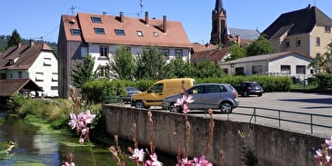 Parkeerterrein voor kampeer wagen