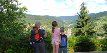 Balade familiale en forêt vosgienne