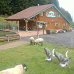 AUBERGE DU SAUT DES CUVES