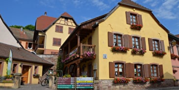 Office de Tourisme Intercommunal du Mont Sainte-Odile, bureau d'Ottrott