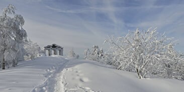 Cross-country skiing and snowshoeing at the Donon area