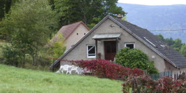 Gîte de France H67GO 13343 -  Au Cerisier
