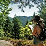 Verkwikkende AE mountainbike en bosbadvakantie in de Vosges du Nord