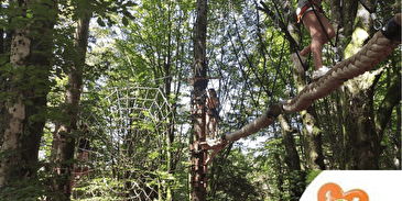 ACCRO'PLANCHE - Parcours dans les arbres