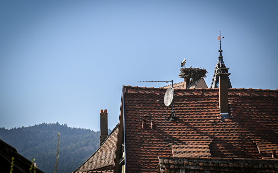 Gîte Guillaume - 6 pers. - Le Hameau d'Eguisheim - Domaine GINGLINGER