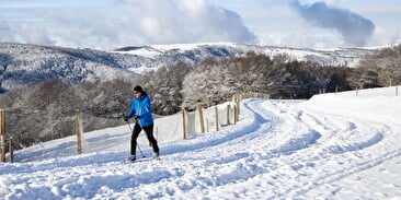 Ski de fond au Schnepfenried