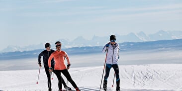 Ski de fond au Markstein