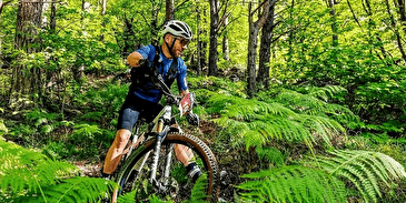 Expérimentez à VTT la mythique traversée du Massif des Vosges sur le GR 53 avec transport de bagages