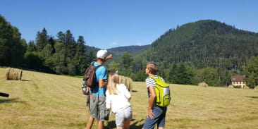 Kinderwagen circuit C03: sur la route de la Falle