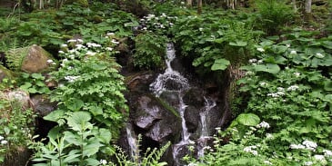 Wandelroute CDF13:  De waterval van de Serva (korte route)