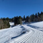NORDIC AREA VAN VENTRON