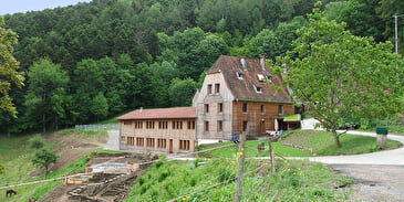 Gîte la Chouette