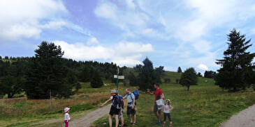 Chaumes et Brimbelles aux Hautes Huttes