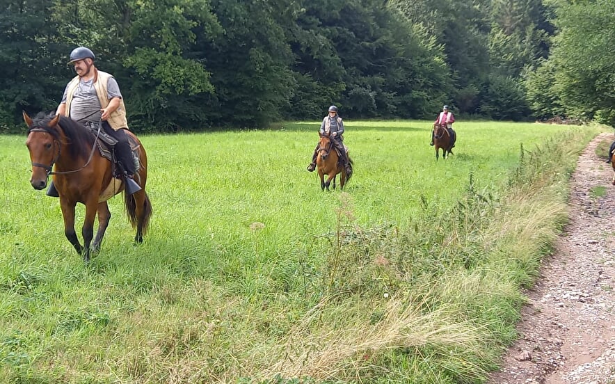 Équitation Passion