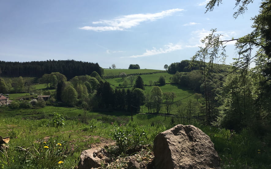 Circuit de randonnée pédestre - La Croix des Danses