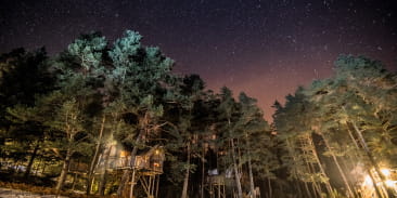 CABANES DANS LES ARBRES NIDS DES VOSGES