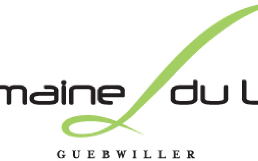 Domaine du Lac - Hotel du Lac **