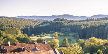Hôtel-restaurant Au Chasseur