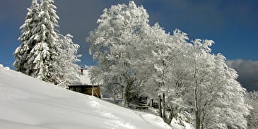 Site de neige du Thanner Hubel