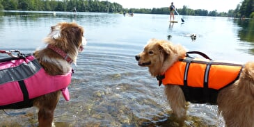 Cani-Paddle