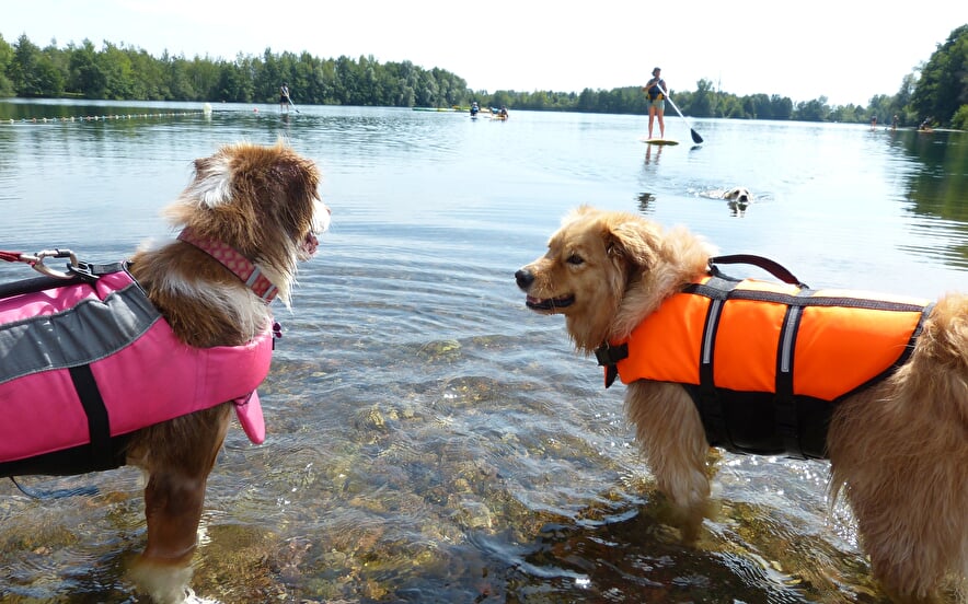 Cani-Paddle