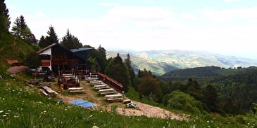 Restaurant Schallern