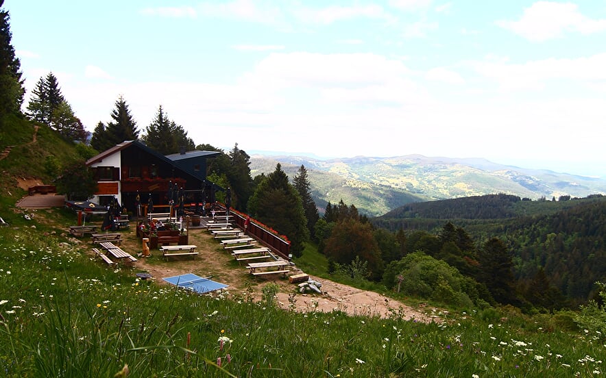 Restaurant Schallern