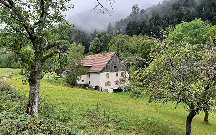 Gîte chaleureux à la montagne (8 personnes)
