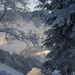 Luge aux Bagenelles