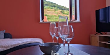 Location La Vue des Vignes