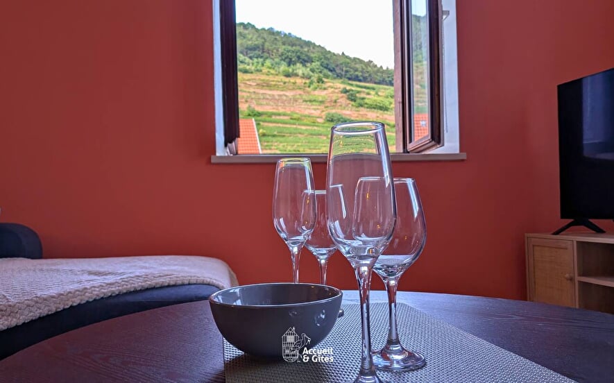 Location La Vue des Vignes