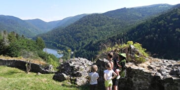 Balades en famille « Les ruines du château de Wildenstein, circuit du Schlossberg »