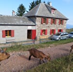 Refuge du Rothenbrunnen