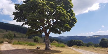 Outdoor Kinderwagen Ciruit C02: autour du col de la Perheux