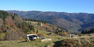 Skistation Le Frenz (copie)