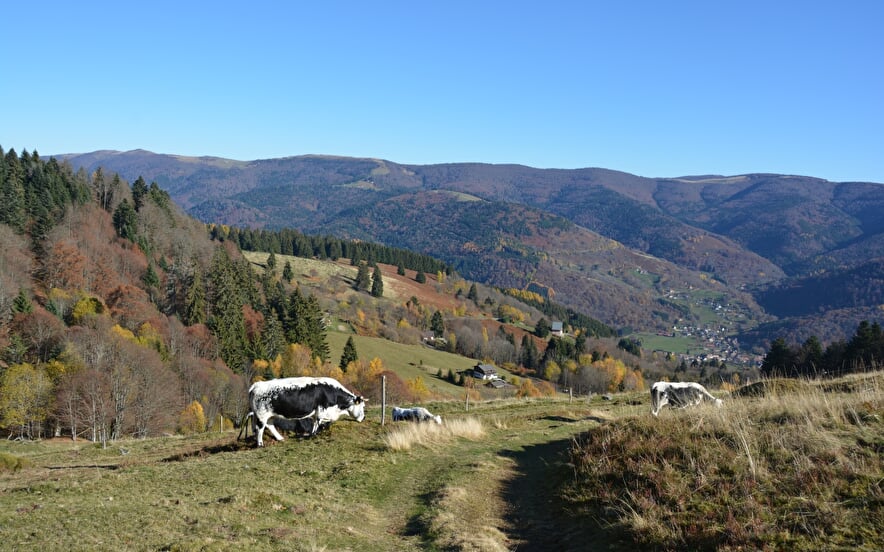 Skistation Le Frenz (copie)