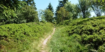 Wandelroute nr. 1: Les Myrtilles