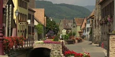 Aire de services pour camping-cars (copie)