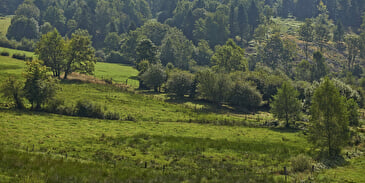 Wandelroute C28: De kersenbomen van Fouday
