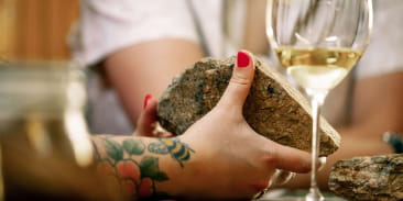 La Parenthèse Vigneronne ''Les terroirs de Grands Crus''