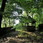 Escapade VTT électrique, randonnée en forêt vosgienne et spa