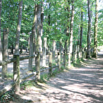Parc animalier de l'ONF - Le Banney
