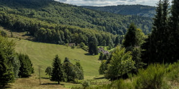 Wandelroute H19: Rond het kasteel van Saint Louis le Sapinot